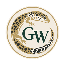 Логотип GEKO WORLD